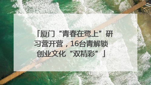 厦门“青春在鹭上”研习营开营，16台青解锁创业文化“双精彩”