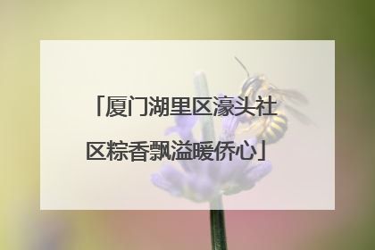 厦门湖里区濠头社区粽香飘溢暖侨心