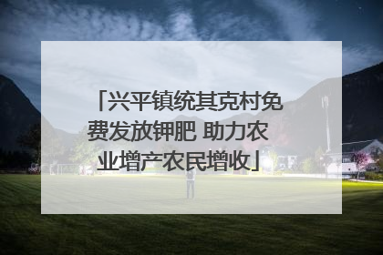 兴平镇统其克村免费发放钾肥 助力农业增产农民增收