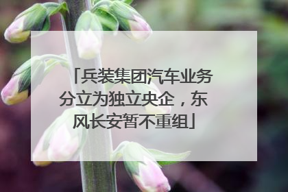 兵装集团汽车业务分立为独立央企，东风长安暂不重组