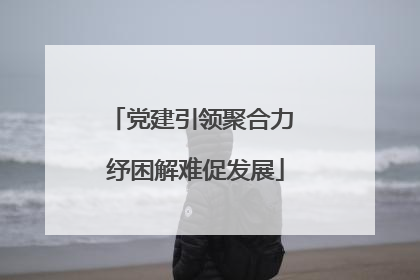 党建引领聚合力 纾困解难促发展
