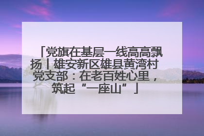 党旗在基层一线高高飘扬丨雄安新区雄县黄湾村党支部：在老百姓心里，筑起“一座山”