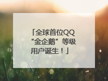 全球首位QQ“金企鹅”等级用户诞生！