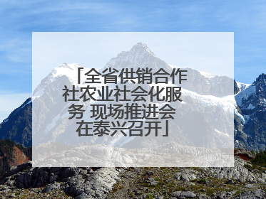 全省供销合作社农业社会化服务 现场推进会在泰兴召开