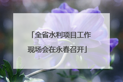全省水利项目工作现场会在永春召开