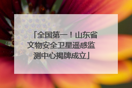 全国第一！山东省文物安全卫星遥感监测中心揭牌成立