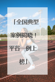 全国典型案例揭晓！平谷一例上榜