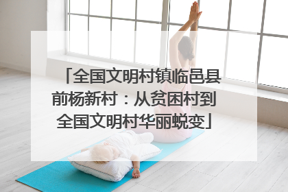 全国文明村镇临邑县前杨新村：从贫困村到全国文明村华丽蜕变