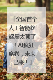 全国首个人工智能终端展太顶了！AI疯狂席卷，未来已来！