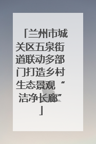 兰州市城关区五泉街道联动多部门打造乡村生态景观“洁净长廊”