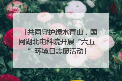 共同守护绿水青山，国网湖北电科院开展“六五”环境日志愿活动