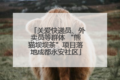 关爱快递员、外卖员等群体 “熊猫坝坝茶”项目落地成都永安社区