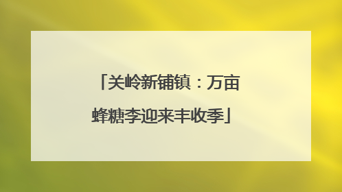 关岭新铺镇：万亩蜂糖李迎来丰收季