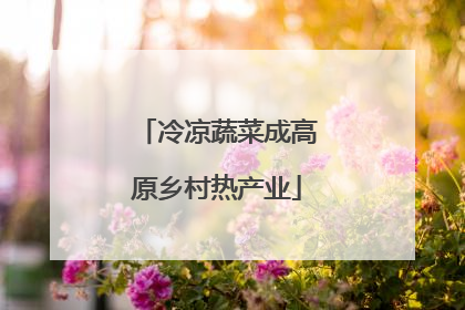 冷凉蔬菜成高原乡村热产业