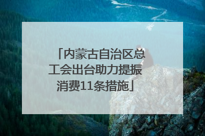 内蒙古自治区总工会出台助力提振消费11条措施