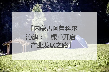 内蒙古阿鲁科尔沁旗：一棵草开启产业发展之路