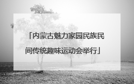 内蒙古魅力家园民族民间传统趣味运动会举行