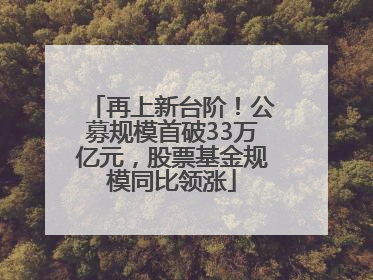 再上新台阶！公募规模首破33万亿元，股票基金规模同比领涨