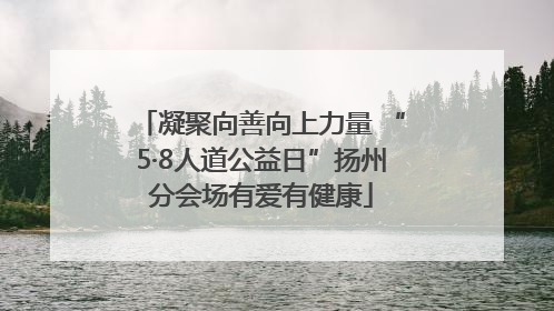 凝聚向善向上力量 “5·8人道公益日”扬州分会场有爱有健康