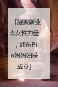 凝聚新业态女性力量，浦东Pro妈妈妇联成立