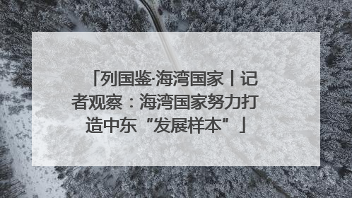 列国鉴·海湾国家丨记者观察：海湾国家努力打造中东“发展样本”