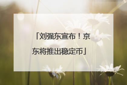 刘强东宣布！京东将推出稳定币