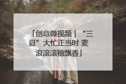 创意微视频｜“三夏”大忙正当时 麦浪滚滚穗飘香