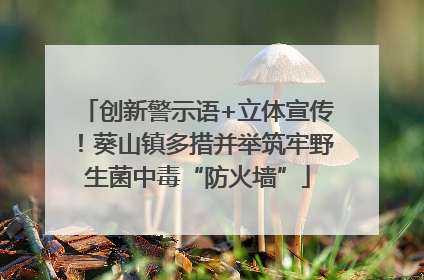 创新警示语+立体宣传！葵山镇多措并举筑牢野生菌中毒“防火墙”