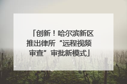 创新！哈尔滨新区推出律所“远程视频审查”审批新模式