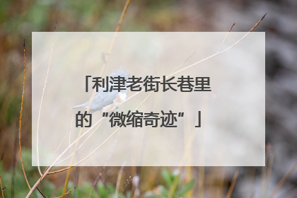 利津老街长巷里的“微缩奇迹”