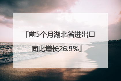 前5个月湖北省进出口同比增长26.9%