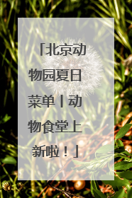 北京动物园夏日菜单丨动物食堂上新啦！