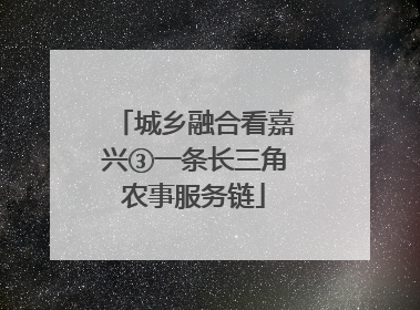 城乡融合看嘉兴③一条长三角农事服务链