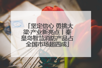 坚定信心 勇挑大梁·产业新亮点丨秦皇岛智慧消防产品占全国市场超四成