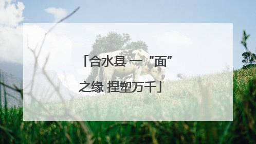 合水县 一“面”之缘 捏塑万千