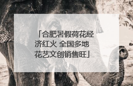 合肥暑假荷花经济红火 全国多地花艺文创销售旺