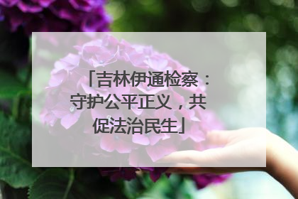 吉林伊通检察：守护公平正义，共促法治民生