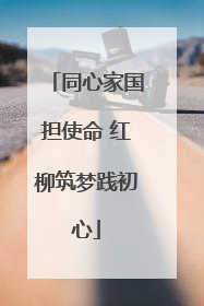 同心家国担使命 红柳筑梦践初心