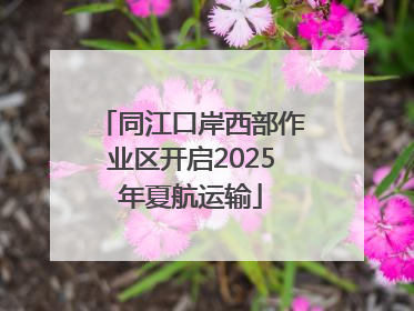 同江口岸西部作业区开启2025年夏航运输