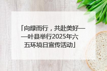 向绿而行，共赴美好——叶县举行2025年六五环境日宣传活动