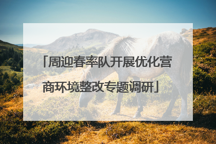 周迎春率队开展优化营商环境整改专题调研