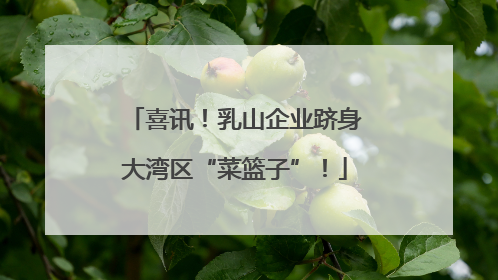 喜讯！乳山企业跻身大湾区“菜篮子”！