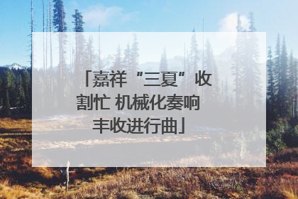 嘉祥“三夏”收割忙 机械化奏响丰收进行曲