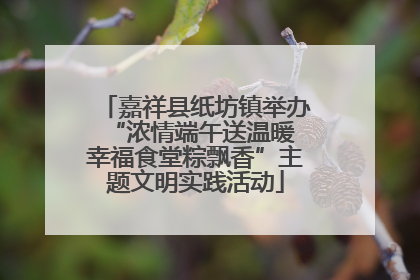 嘉祥县纸坊镇举办“浓情端午送温暖 幸福食堂粽飘香”主题文明实践活动
