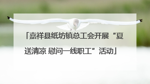 嘉祥县纸坊镇总工会开展“夏送清凉 慰问一线职工”活动