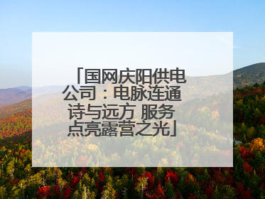 国网庆阳供电公司：电脉连通诗与远方 服务点亮露营之光