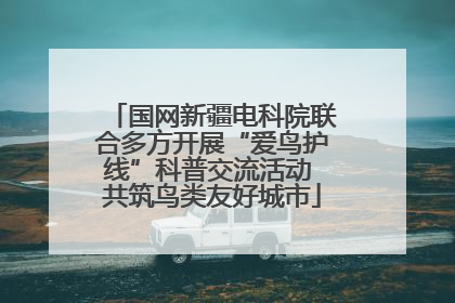国网新疆电科院联合多方开展“爱鸟护线”科普交流活动 共筑鸟类友好城市