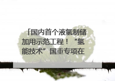 国内首个液氢制储加用示范工程！“氢能技术”国重专项在四川南充启动｜打赢经济发展翻身仗