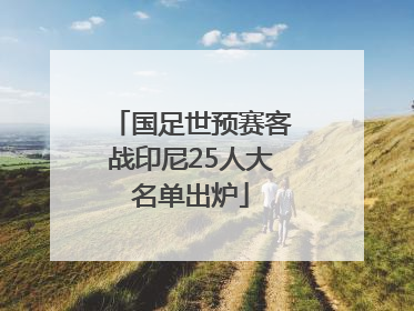 国足世预赛客战印尼25人大名单出炉