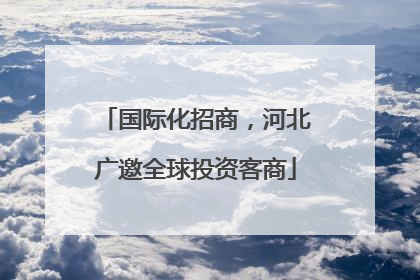 国际化招商，河北广邀全球投资客商